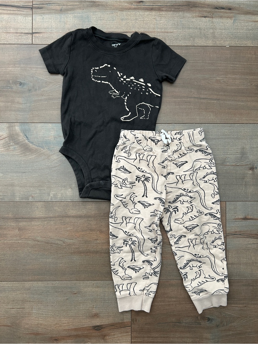 Carter's 24M Dinosaur Set